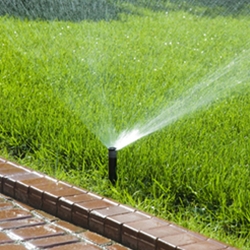 Should a Lawn Be Watered after Fertilizing?