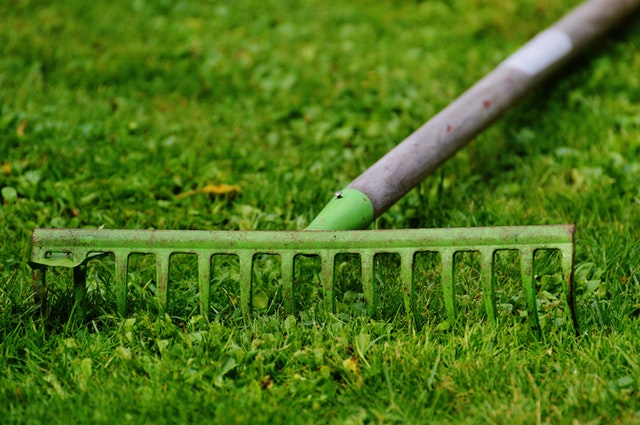 A rake on the grass.