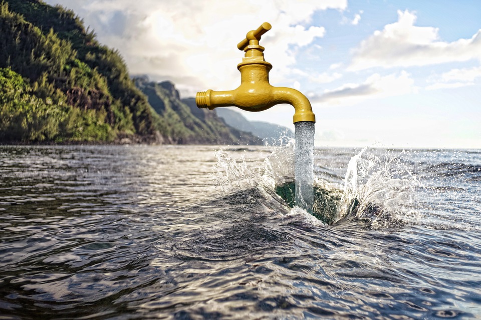 3 Easy Ways to Reduce Your Home's Water Usage