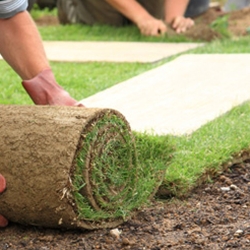 Steps to make sure you hire the right lawn care company.
